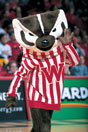 Photo of Bucky Badger